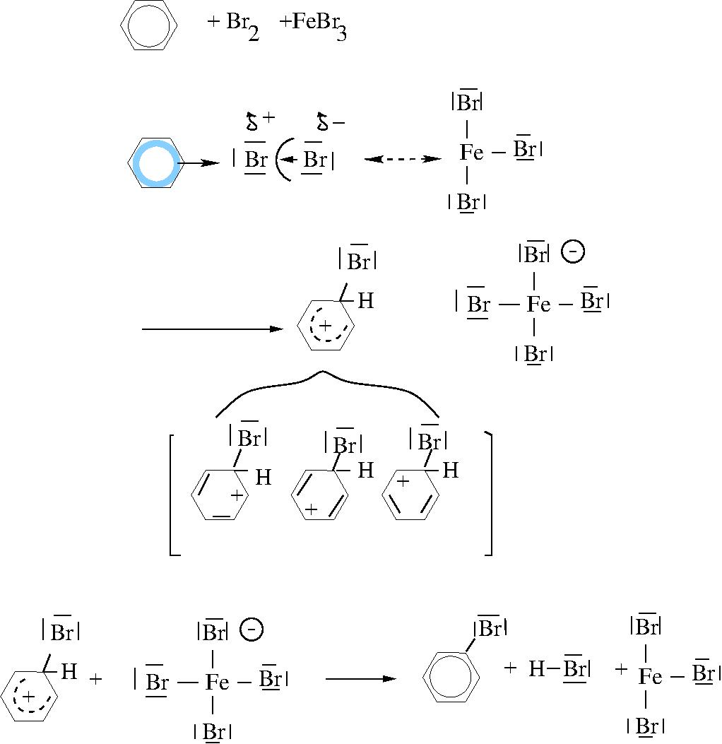 Reaktionsmechanismus